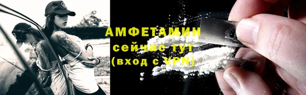 индика Надым
