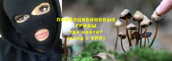 кристаллы Нея
