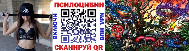 Галлюциногенные грибы Cubensis  Красный Сулин 