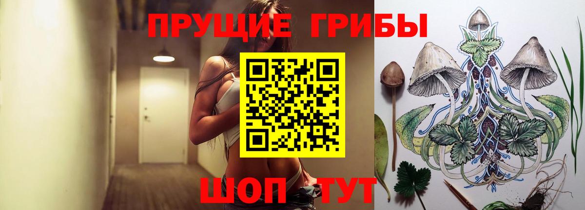 Псилоцибиновые грибы прущие грибы  Вход с VPN  Красный Сулин 